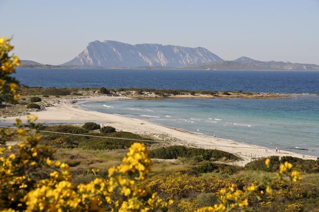 Bandi San Teodoro (Sardinia)