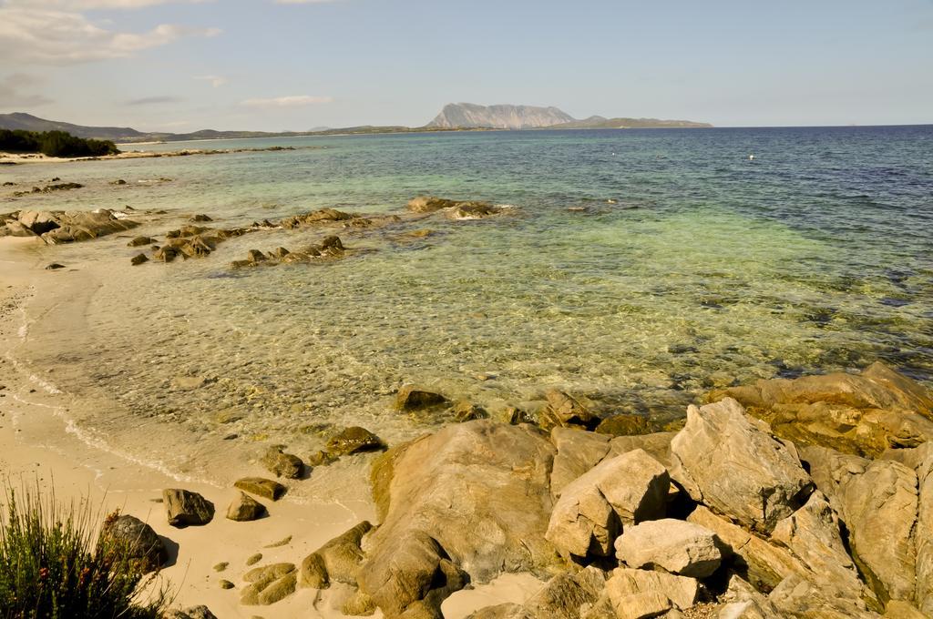 Bandi * San Teodoro (Sardinia)