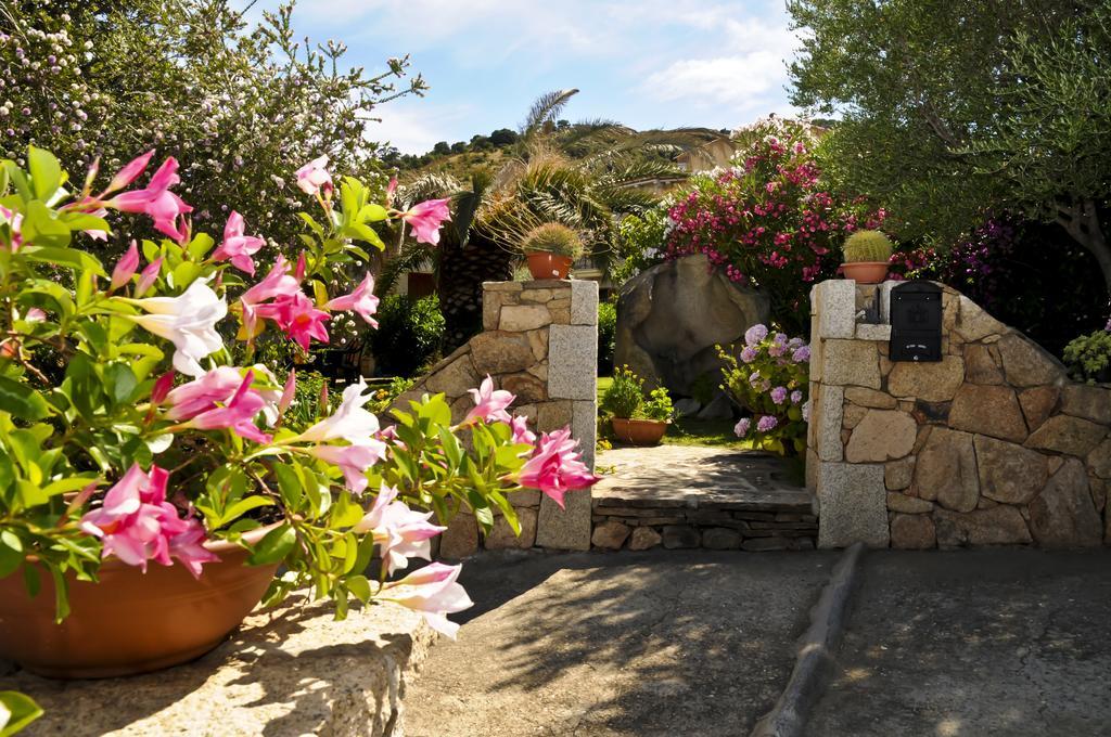 Bandi San Teodoro (Sardinia)