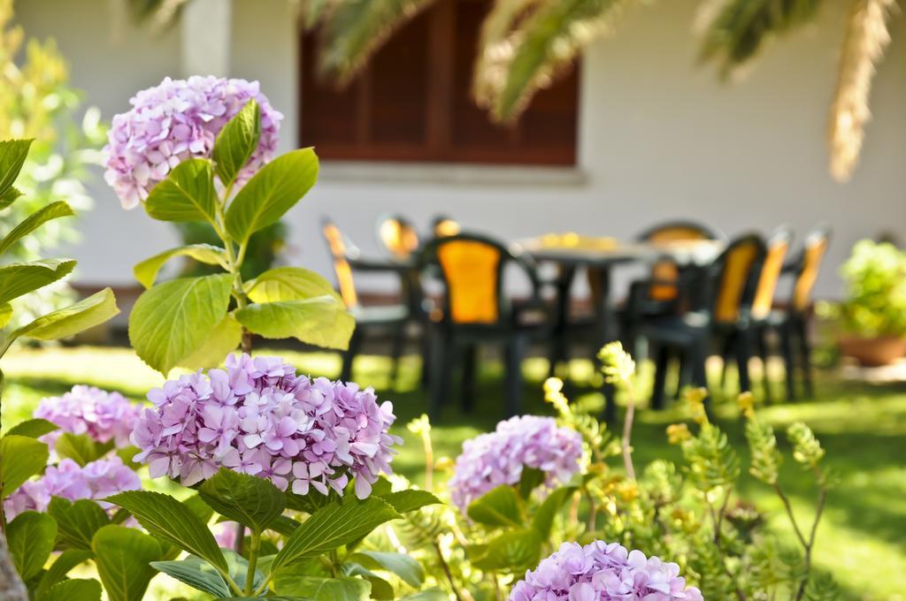 Bandi Guest house