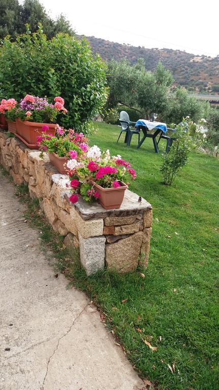 Bandi San Teodoro (Sardinia)